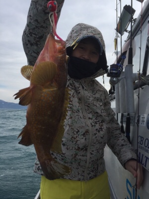 シーモンキー 釣果