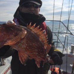 シーモンキー 釣果