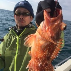 シーモンキー 釣果