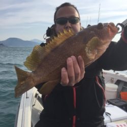 シーモンキー 釣果