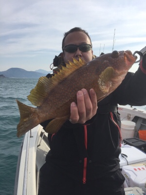 シーモンキー 釣果