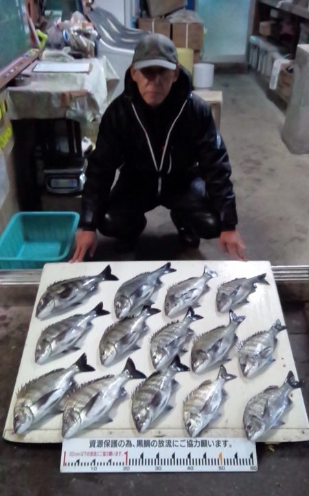 ふじや釣舟店 釣果