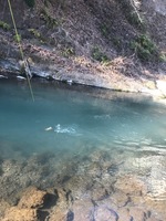 秩父フライフィールド 釣果