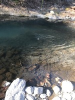 秩父フライフィールド 釣果