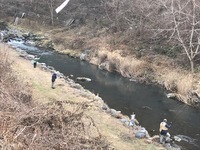 秩父フライフィールド 釣果