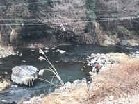 秩父フライフィールド 釣果