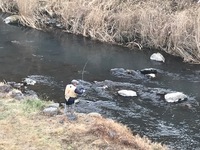 秩父フライフィールド 釣果