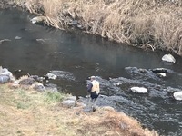 秩父フライフィールド 釣果