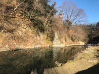 秩父フライフィールド 釣果