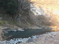 秩父フライフィールド 釣果