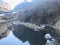 秩父フライフィールド 釣果