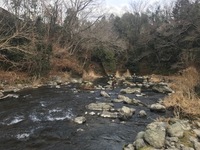 秩父フライフィールド 釣果