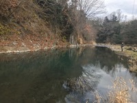 秩父フライフィールド 釣果