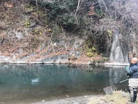秩父フライフィールド 釣果