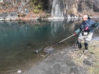秩父フライフィールド 釣果