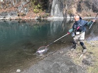 秩父フライフィールド 釣果