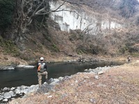 秩父フライフィールド 釣果