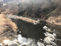 秩父フライフィールド 釣果