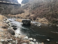 秩父フライフィールド 釣果