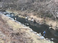 秩父フライフィールド 釣果