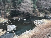 秩父フライフィールド 釣果