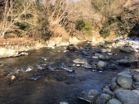 秩父フライフィールド 釣果