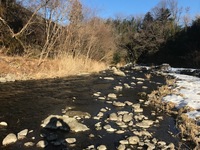 秩父フライフィールド 釣果