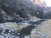 秩父フライフィールド 釣果