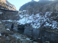 秩父フライフィールド 釣果