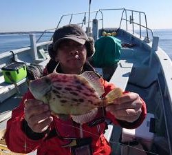 かねい丸 釣果