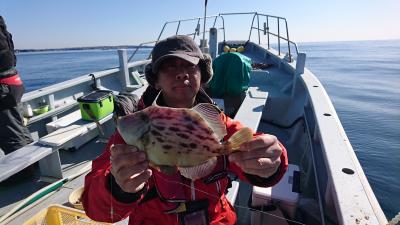 かねい丸 釣果