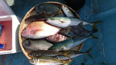 はじめ丸 釣果