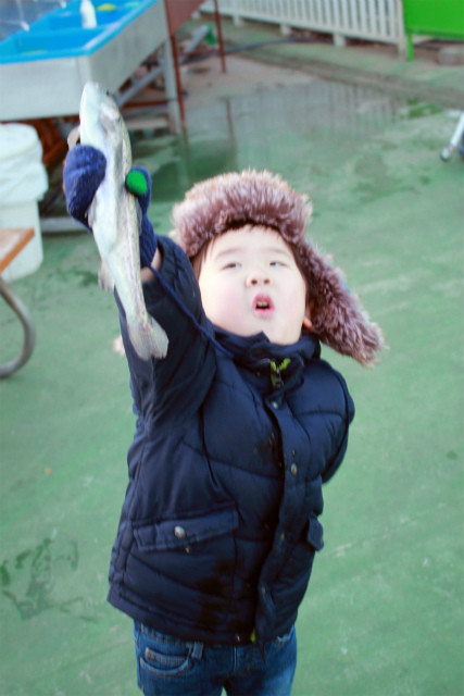 としまえんフィッシングエリア 釣果