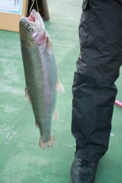 としまえんフィッシングエリア 釣果