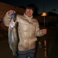 としまえんフィッシングエリア 釣果