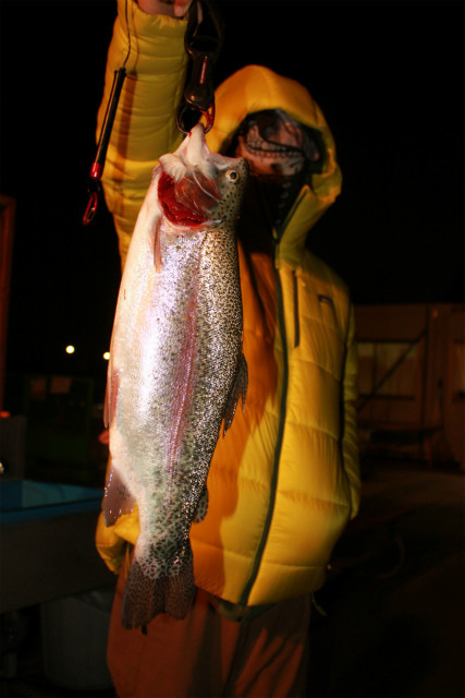 としまえんフィッシングエリア 釣果