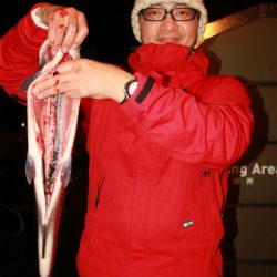 としまえんフィッシングエリア 釣果