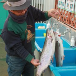 としまえんフィッシングエリア 釣果