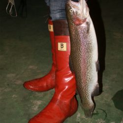 としまえんフィッシングエリア 釣果