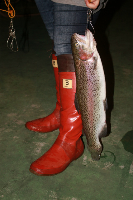 としまえんフィッシングエリア 釣果