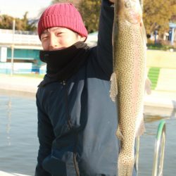 としまえんフィッシングエリア 釣果