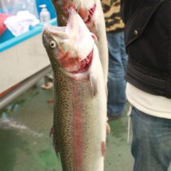 としまえんフィッシングエリア 釣果