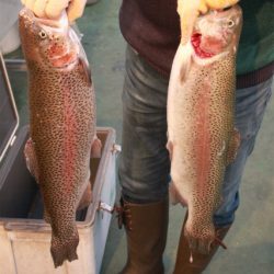 としまえんフィッシングエリア 釣果