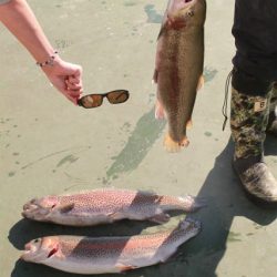 としまえんフィッシングエリア 釣果