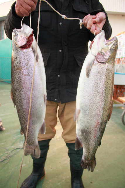 としまえんフィッシングエリア 釣果