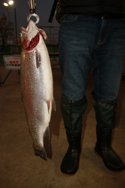 としまえんフィッシングエリア 釣果
