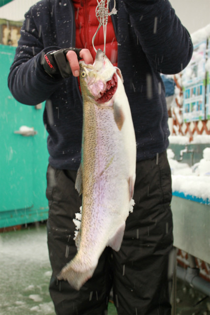 としまえんフィッシングエリア 釣果