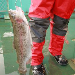 としまえんフィッシングエリア 釣果