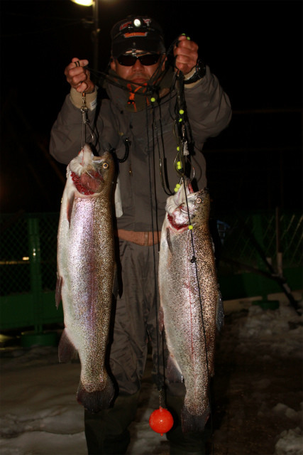 としまえんフィッシングエリア 釣果