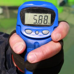 としまえんフィッシングエリア 釣果